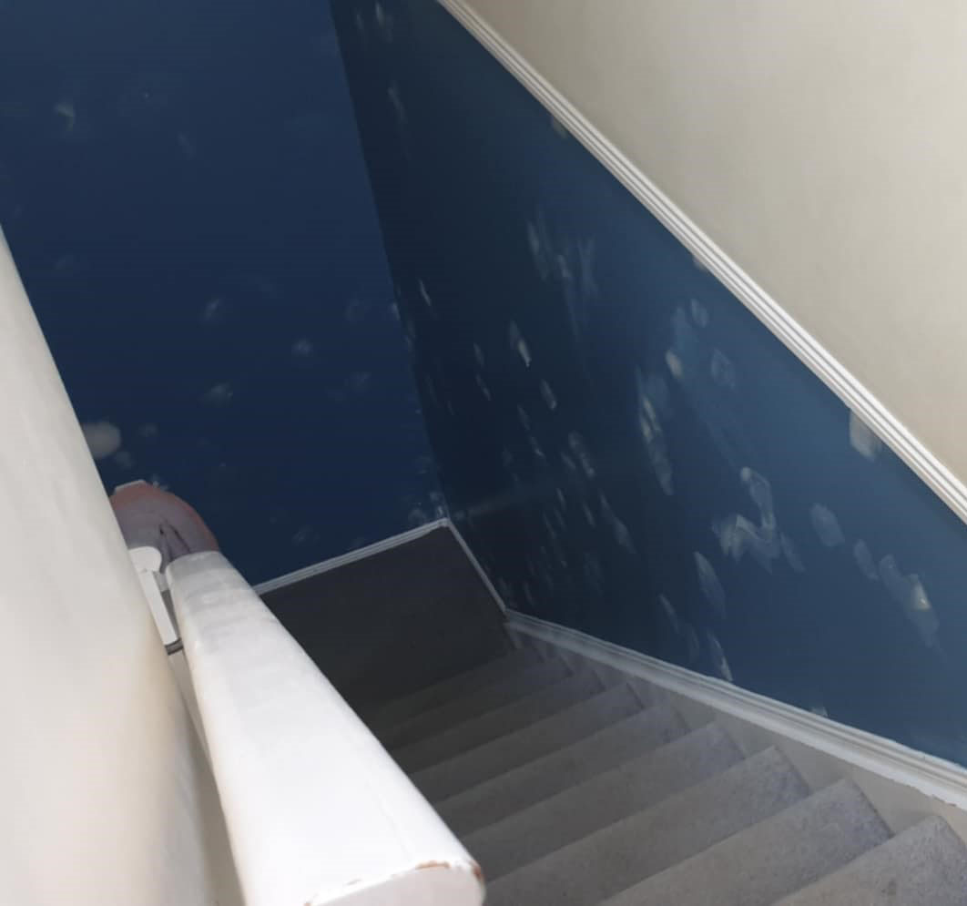 house painter Pottsville